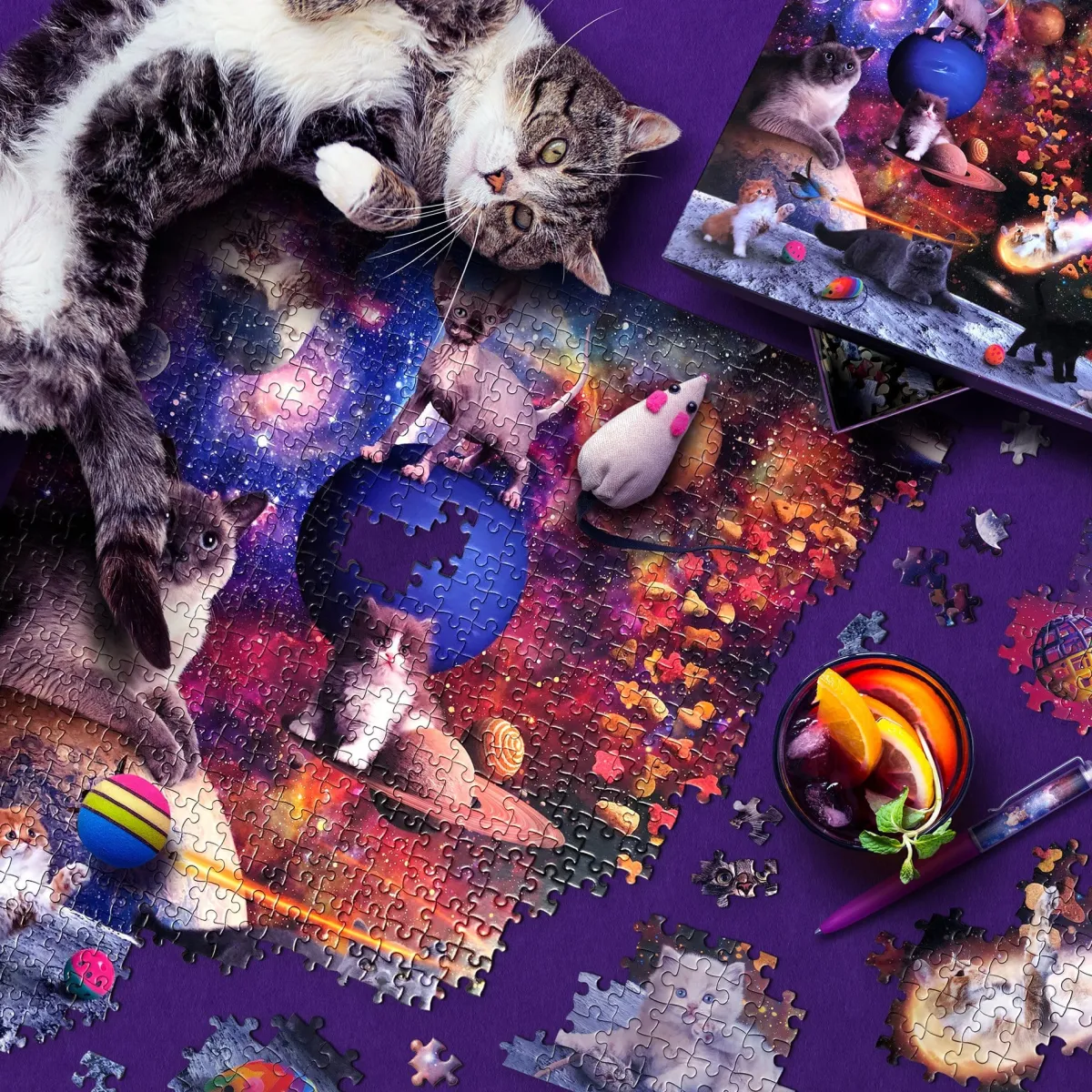 1000-Piece Puzzles^Fred 1000 PIECE PUZZLE: GALAXY CATS