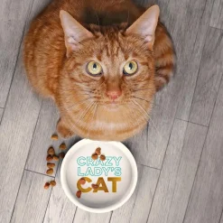Cats|Shop All Table^Fred CERAMIC MUG + CAT BOWL SET