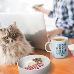 Cats|Shop All Table^Fred CERAMIC MUG + CAT BOWL SET