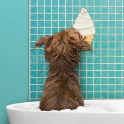 Dogs^Fred DISTRACT-O-MAT - Ice Cream