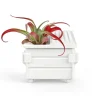 Garden^Fred FANCY PLANTS - Dumpster
