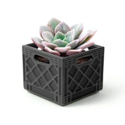 Garden^Fred FANCY PLANTS - Milk Crate