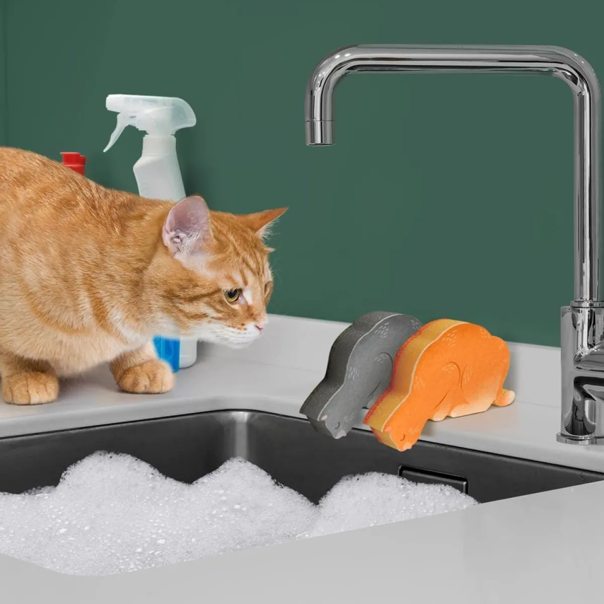 Cleaning|Sponges^Fred KITCHEN KITTENS