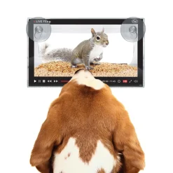 Dogs|Cats^Fred LIVE FEED