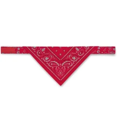 Dogs^Fred REFLECTIVE DOG BANDANAS