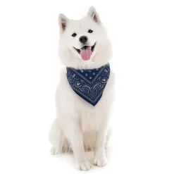 Dogs^Fred REFLECTIVE DOG BANDANAS