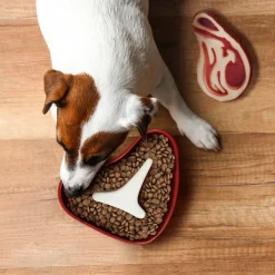 Dogs^Fred SLOW FOOD - DOG