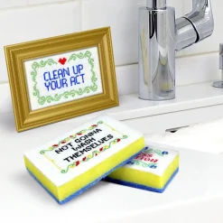 Cleaning|Sponges^Fred SUBVERSIVE SPONGES - PG Rated